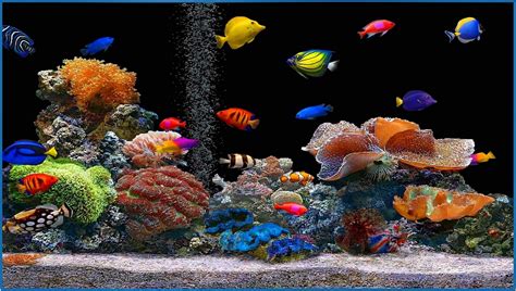 aquarium screensavers